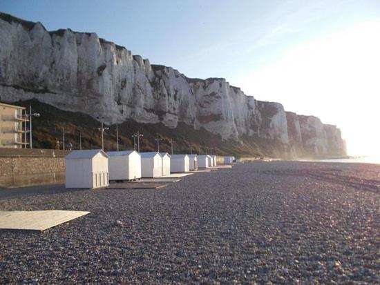 Studio Proche Des Falaises, Du Port Et Des Plages Le Tréport Eksteriør billede